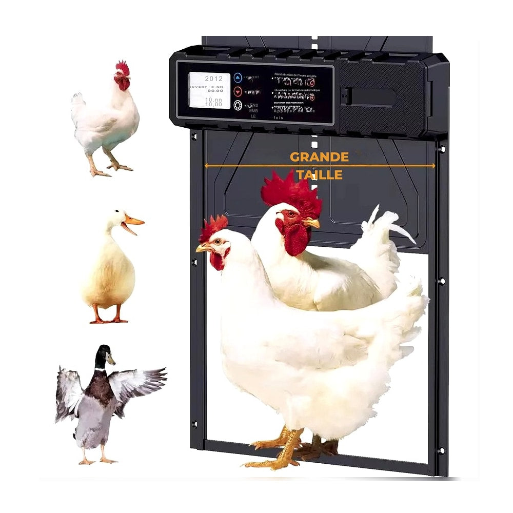 Porte poulailler aluminium PFS-172C grand écran