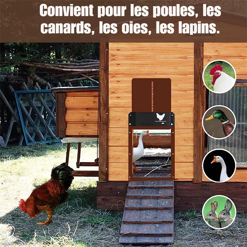 Automatisation totale — plus jamais d'oubli de fermeture