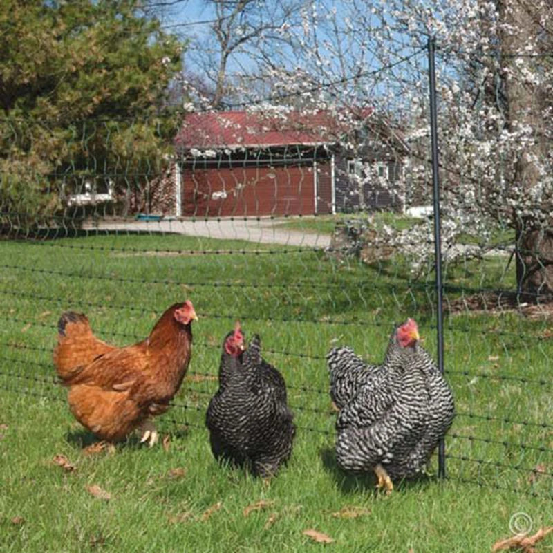 Durable & polyvalent — une solution pour toutes les saisons