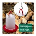 Kit abreuvoir plastique pour poulailler, capacités 1,5 L et 3 L, alimentation et hydratation des poules et volailles