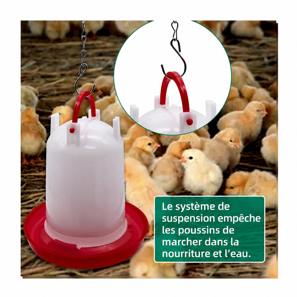 Kit abreuvoir plastique pour poulailler, capacités 1,5 L et 3 L, alimentation et hydratation des poules et volailles