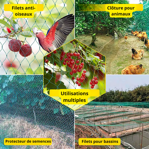 Utilité filet protection poulailler anti-rapaces prédateurs