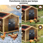 Porte poulailler automatique solaire fonctionne par tous les temps