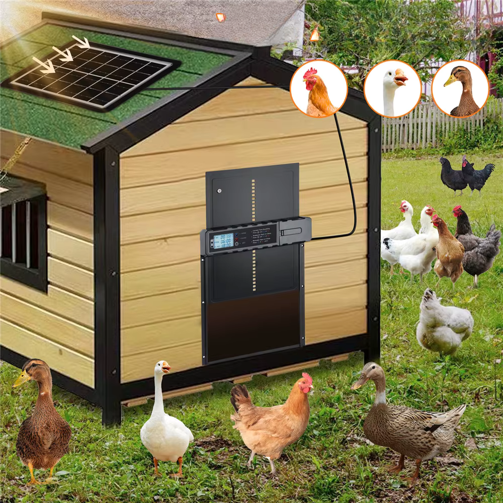 Porte poulailler adaptée pour toutes les volailles poules canards