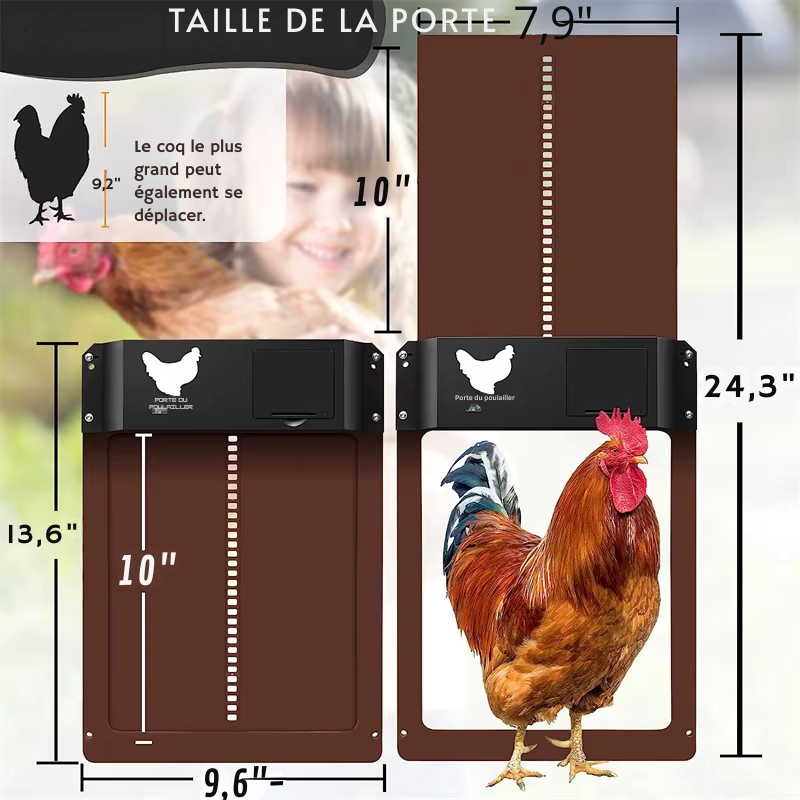 Porte de Poulailler Automatique Capteur de  Lumière - Sur Piles - IP44