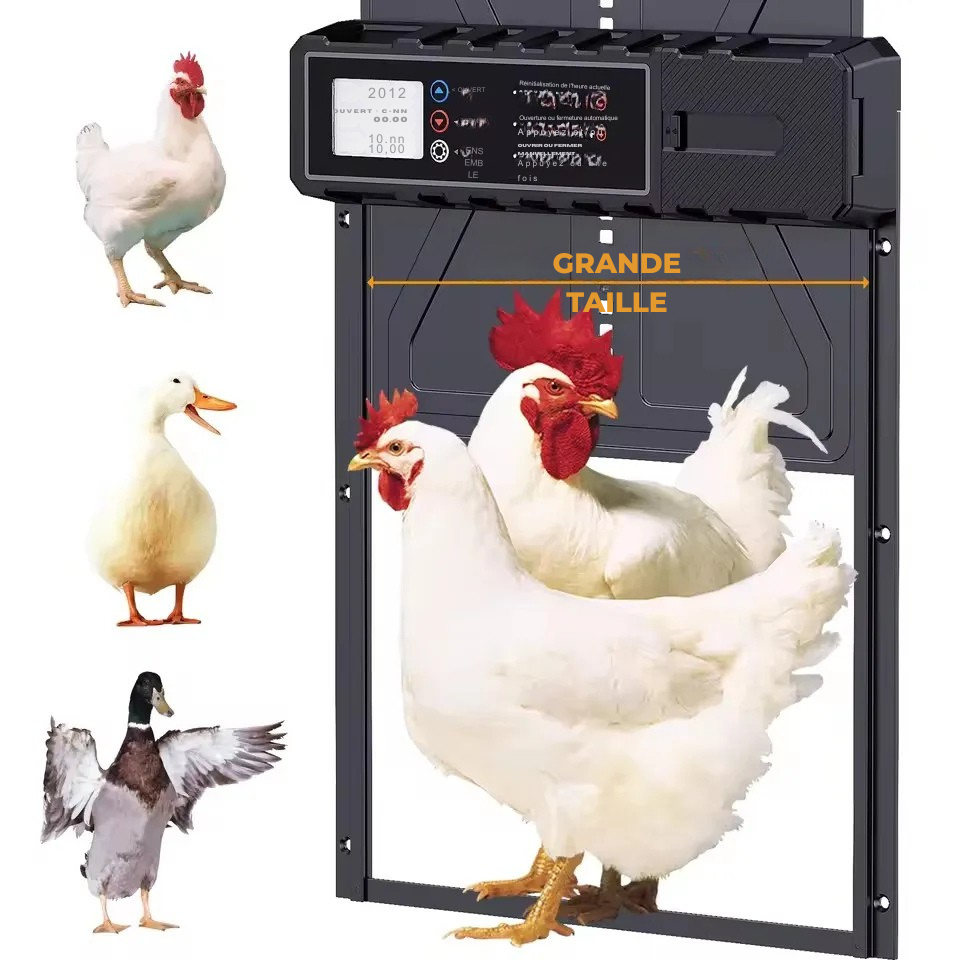 Porte Automatique Aluminium PFS-172C