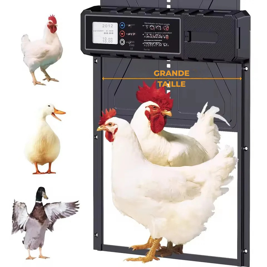 Grand écran LCD — lisible en plein soleil, programmation intuitive