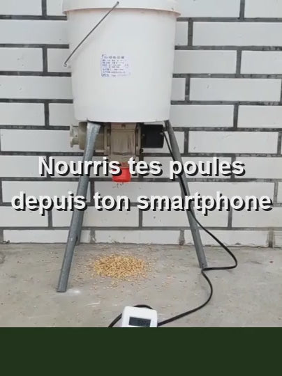 Nourris tes poules depuis ton smartphone – Mangeoire connectée WiFi Poulisol